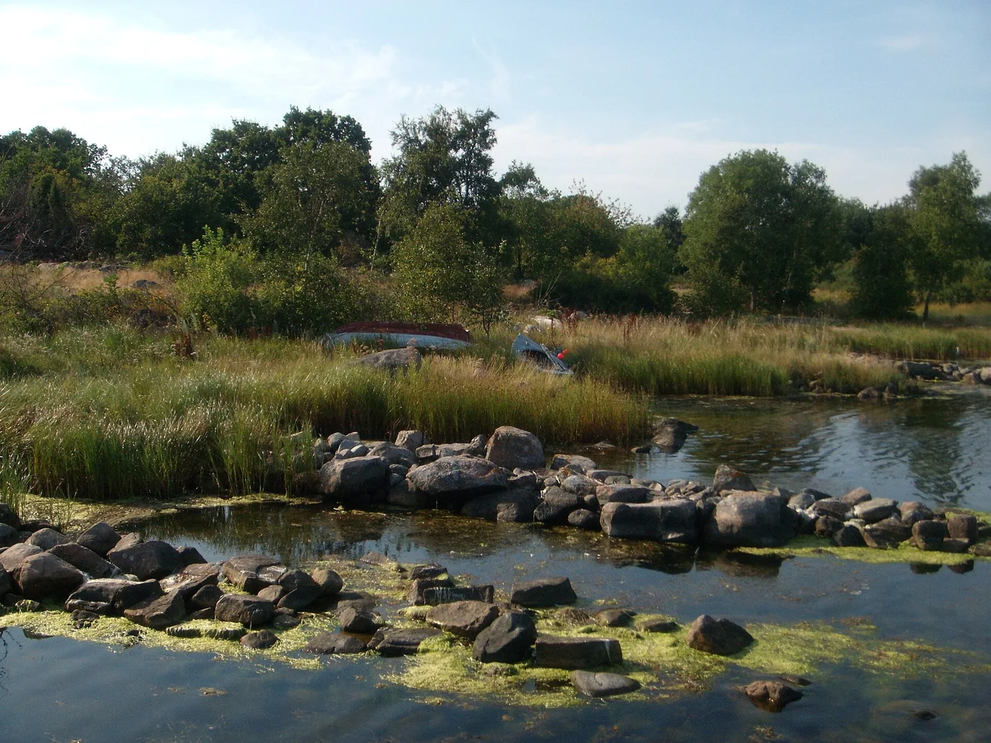 Kås